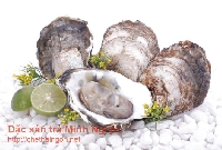 Chữa đau dạ dày với mẫu lệ Chữa đau dạ dày với mẫu lệ