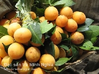 Phương thuốc phòng thiếu máu cơ tim Phương thuốc phòng thiếu máu cơ tim