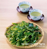 Phòng chống tiểu đường bằng việc uống trà xanh Phòng chống tiểu đường bằng việc uống trà xanh